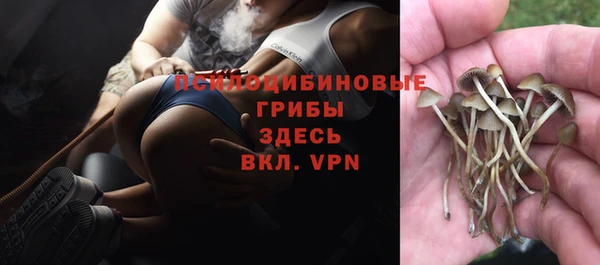 мескалин Баксан