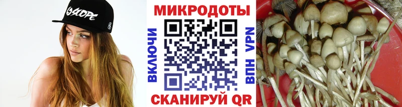 Галлюциногенные грибы Cubensis  Нефтегорск 