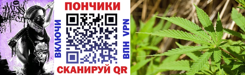 где продают   Нефтегорск  Бошки марихуана планчик 